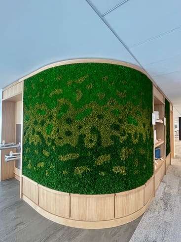 Sustainability SECOND IMAGE (2) (1)